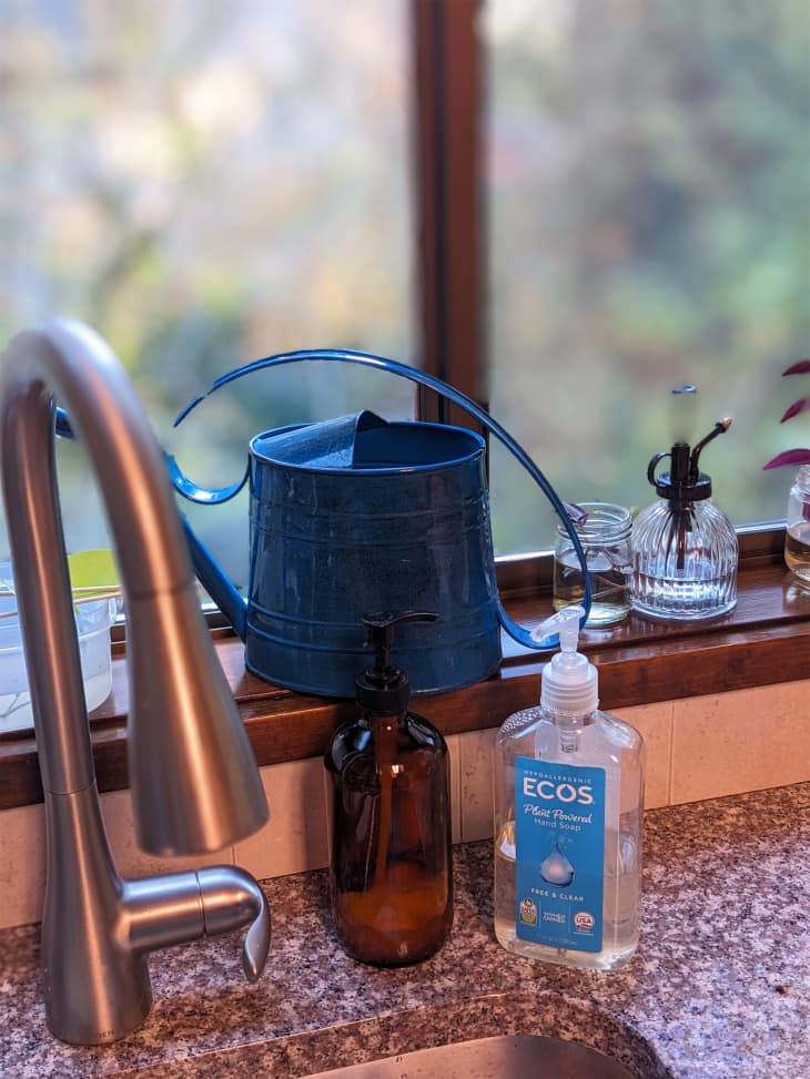 ECOS Hypoallergenic Hand Soap Free & Clear Review Apartment Therapy